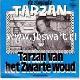 Afbeelding bij: Zingende Tarzan - Zingende Tarzan-Tarzan van het Zwarte woud / Tarzan Pol